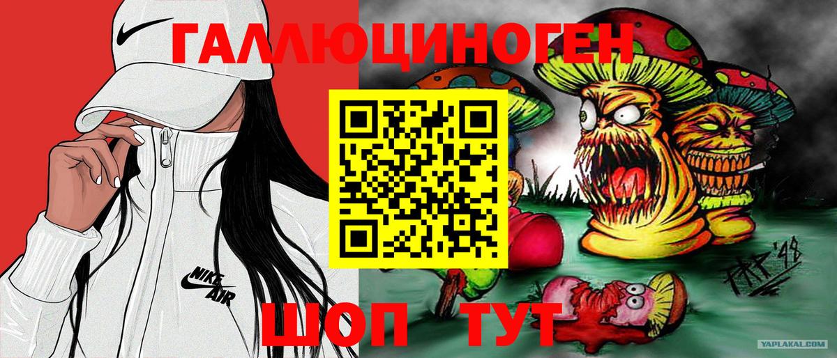 Псилоцибиновые грибы Psilocybe  Вход с VPN  Псилоцибиновые грибы ЛСД  Кунгур 